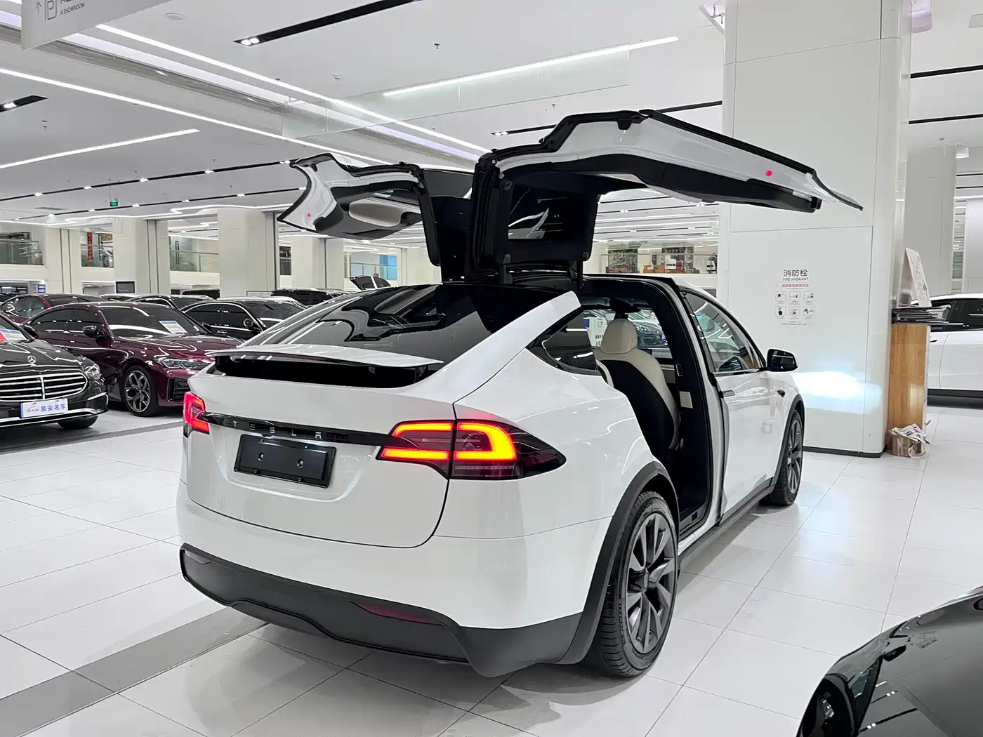 TESLA MODEL X