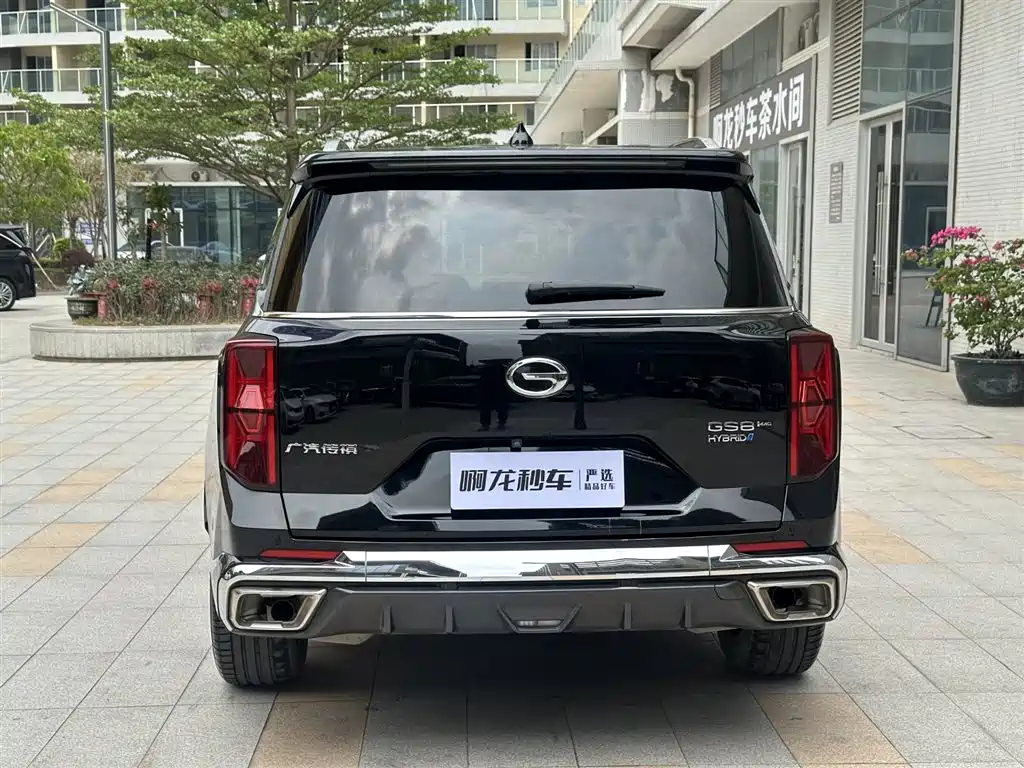 GAC Trumpchi Trumpchi GS8 2022 Dual Engine Series 2.0TM 2WD Premium Edition (6-Seater) фото 7