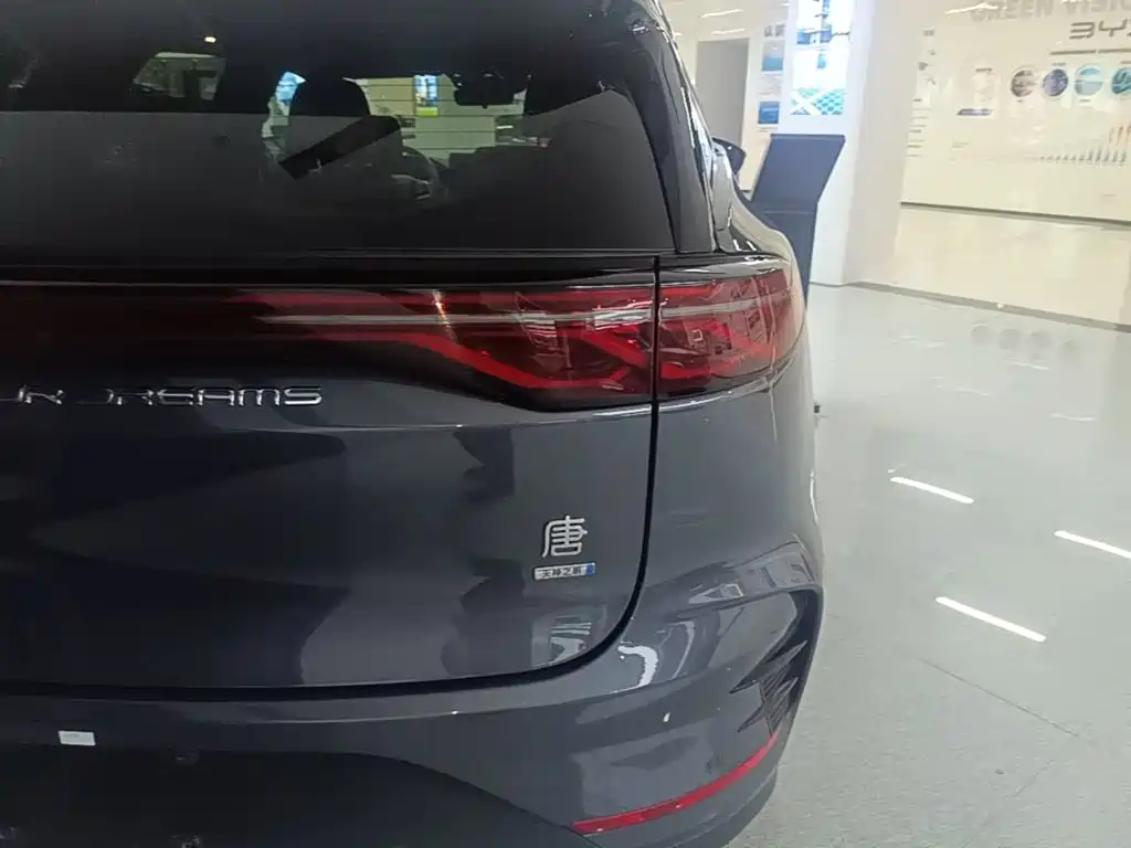 Фото 8 - BYD Tang New Energy