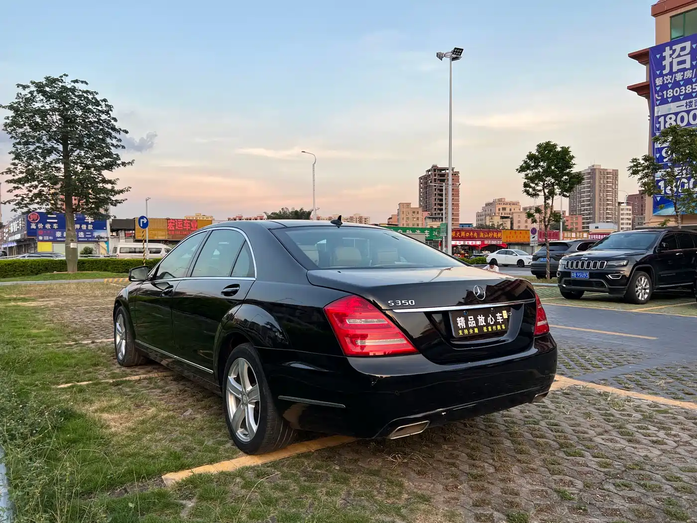 Mercedes-Benz S-Class 2010 S 350 L Luxury фото 4
