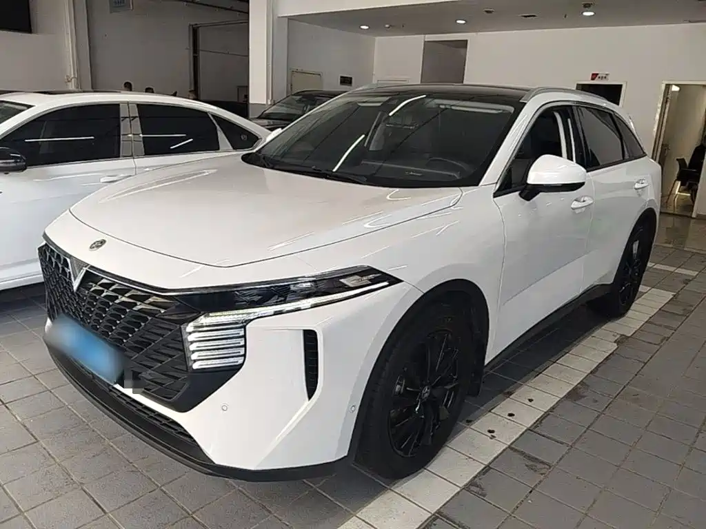 Venucia Big V 2023 2021 260T King Edition