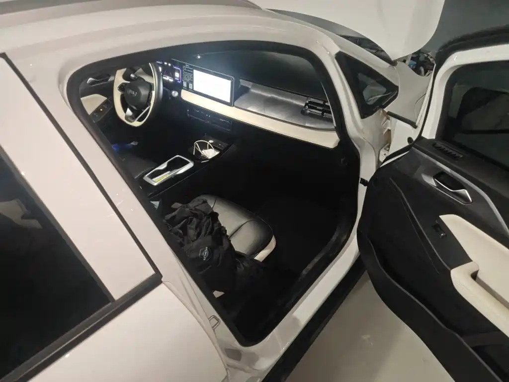 Geely Geometry E Firefly 2023 2024 Model 401km Fluorescent