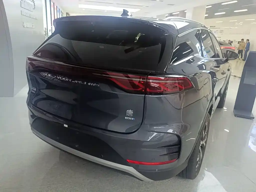 Фото 7 - BYD Tang New Energy