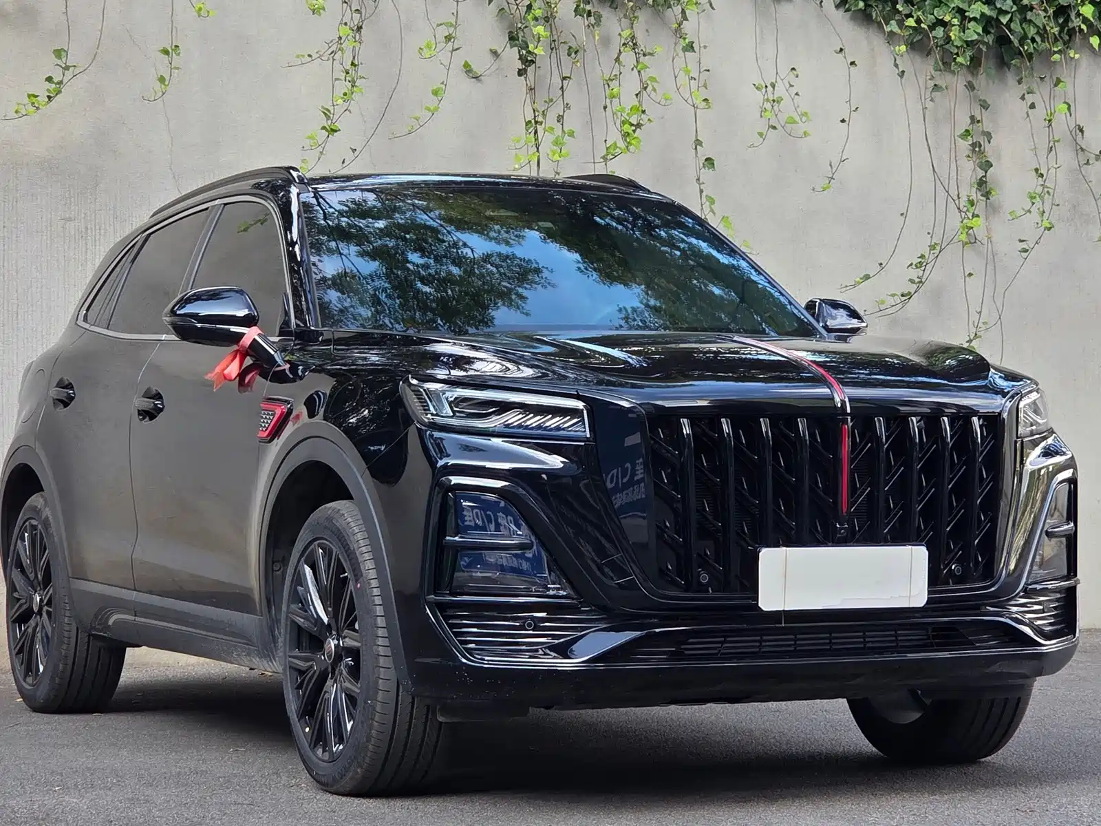 Photo 3 - Hongqi HS5