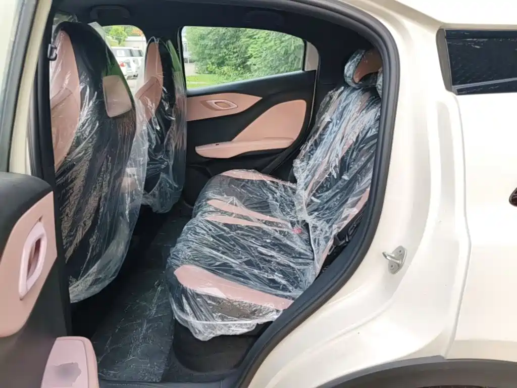 BYD Seagull 2026 2025 Smart Drive Edition 305km Vitality Version