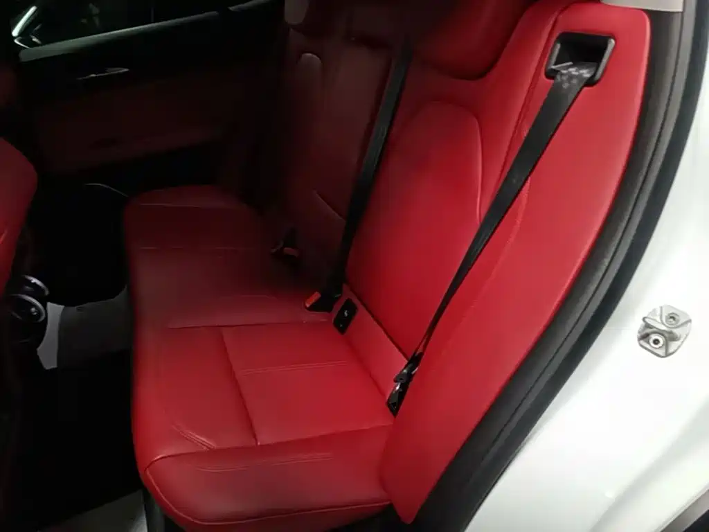 Alfa Romeo Stelvio 2021 2020 2.0T 280HP Luxury Edition