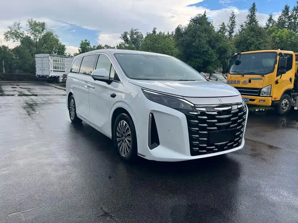 Фото 2 - BYD Xia