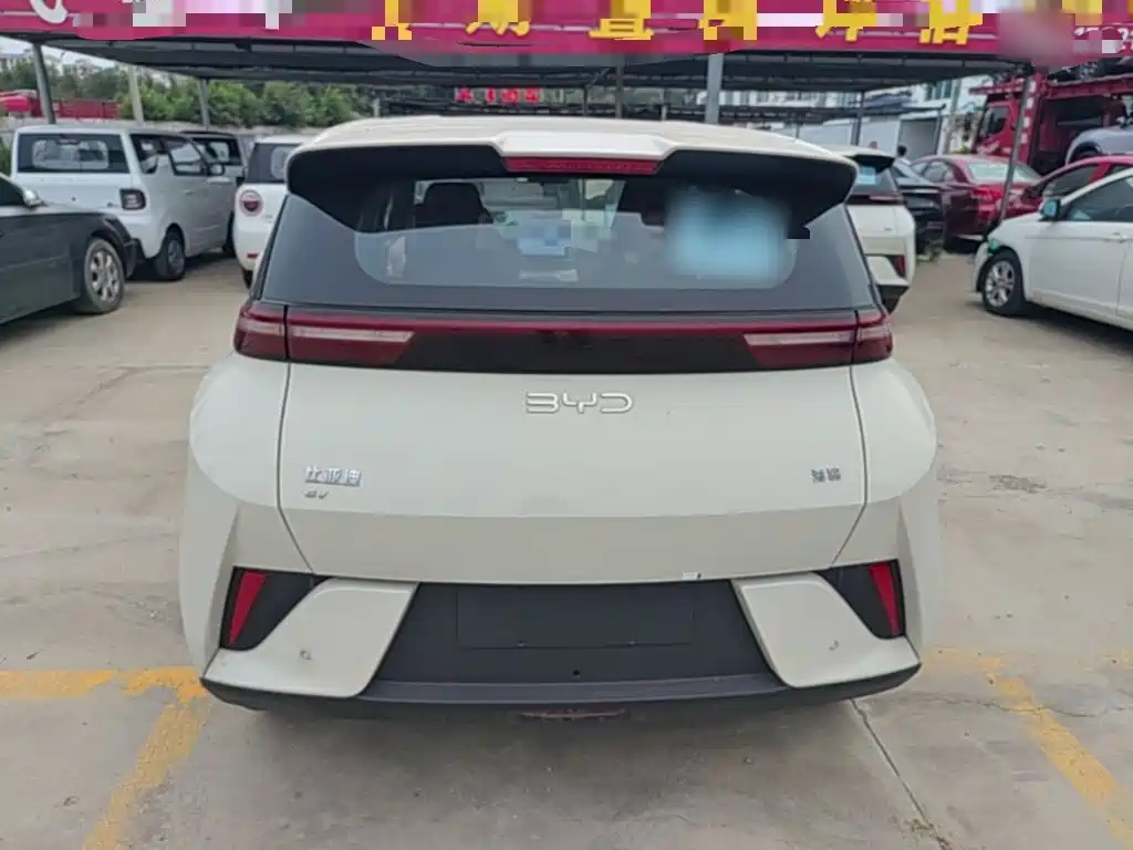 BYD Seagull 2026 2025 Smart Drive Edition 305km Vitality Version