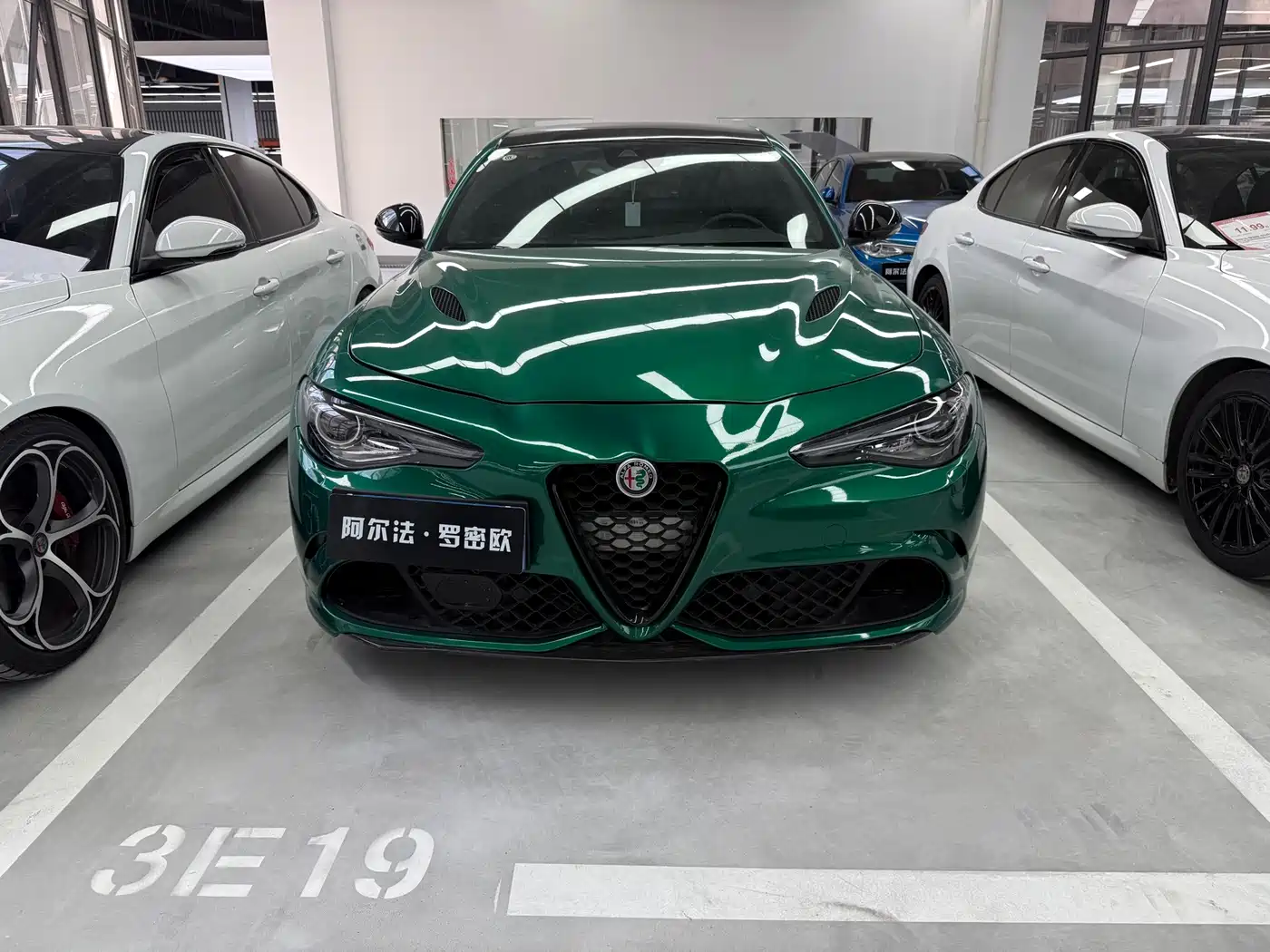 Alfa Romeo Giulia 2022 2022 2.9T Quadrifoglio