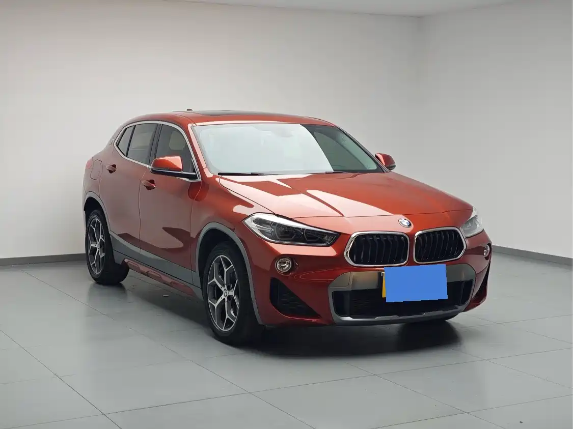 BMW X2 (Import) 2019 2019 sDrive20i M Off-Road Package China VI