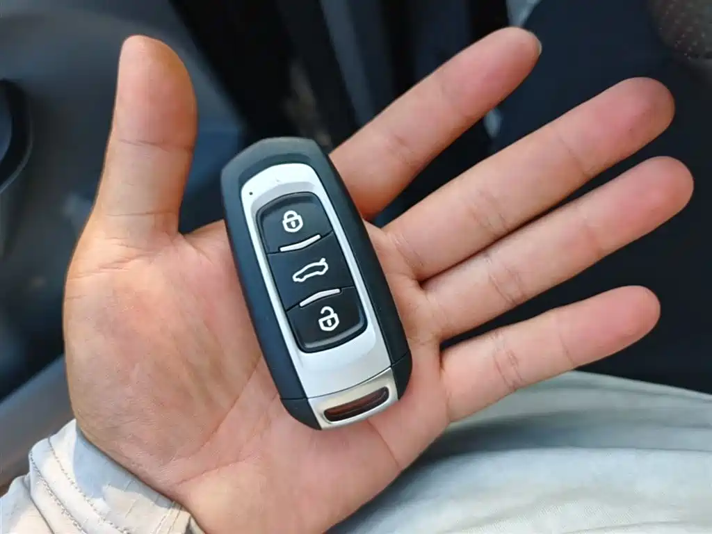 LEVC TX 2024 2023 TX5 Extended Range Travel Edition