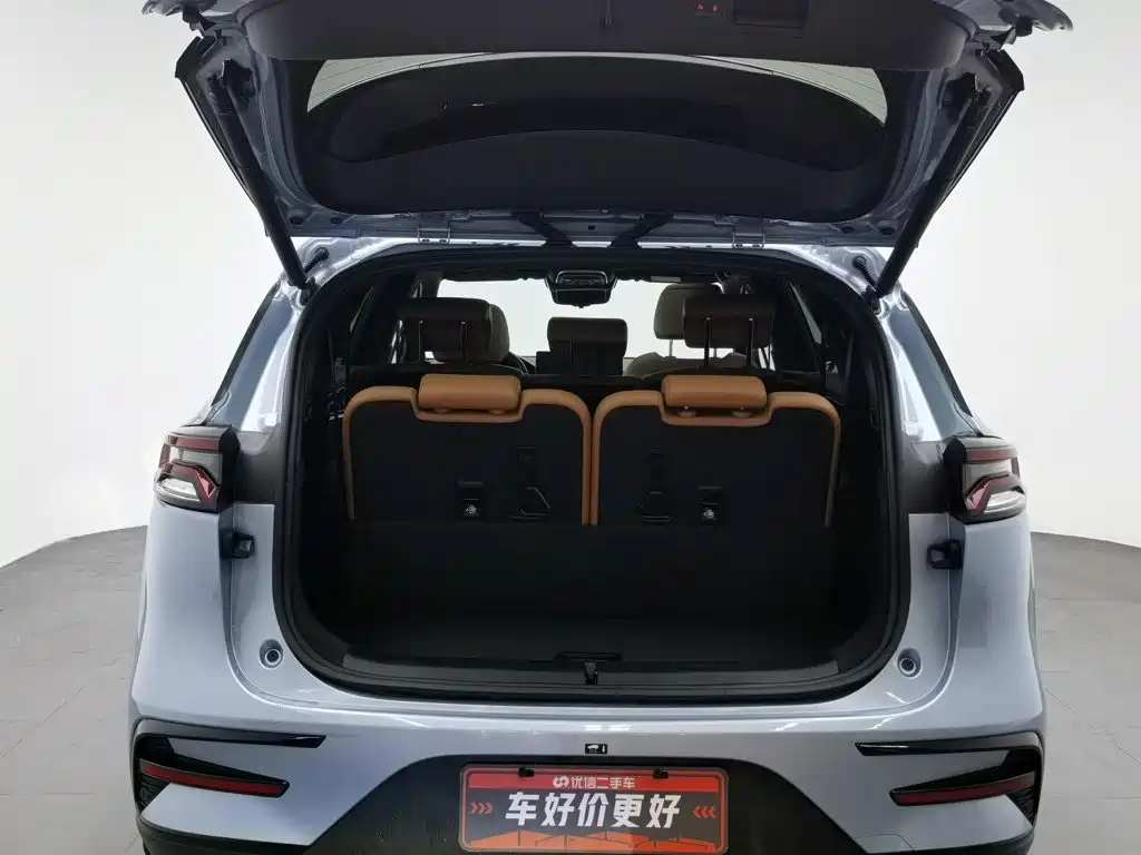 Photo 16 - BYD Tang New Energy