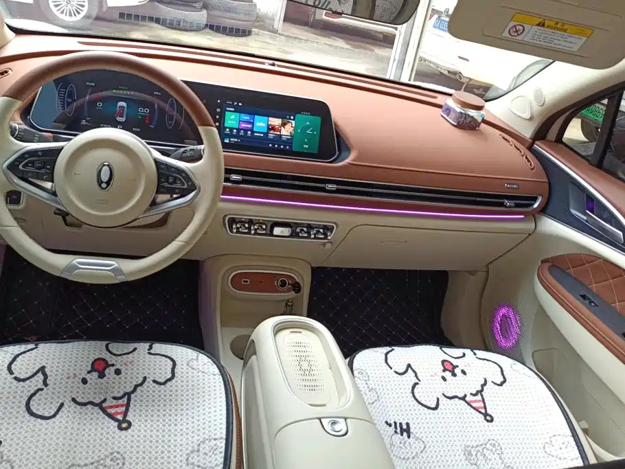 Ora Good Cat 2024 2024 401km Luxury