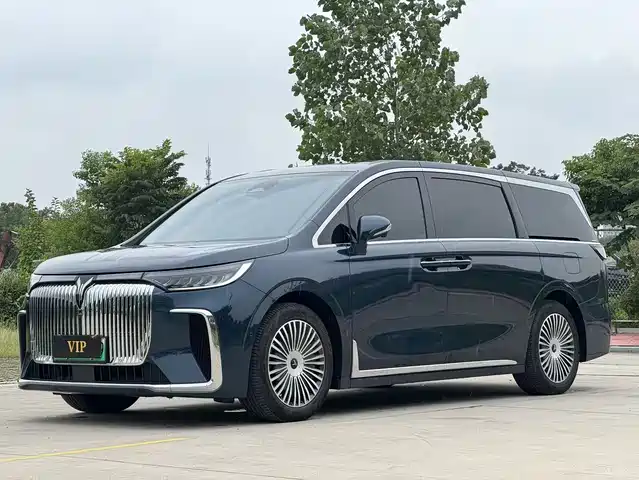 Voyah Auto Voyah Dreamer 2025