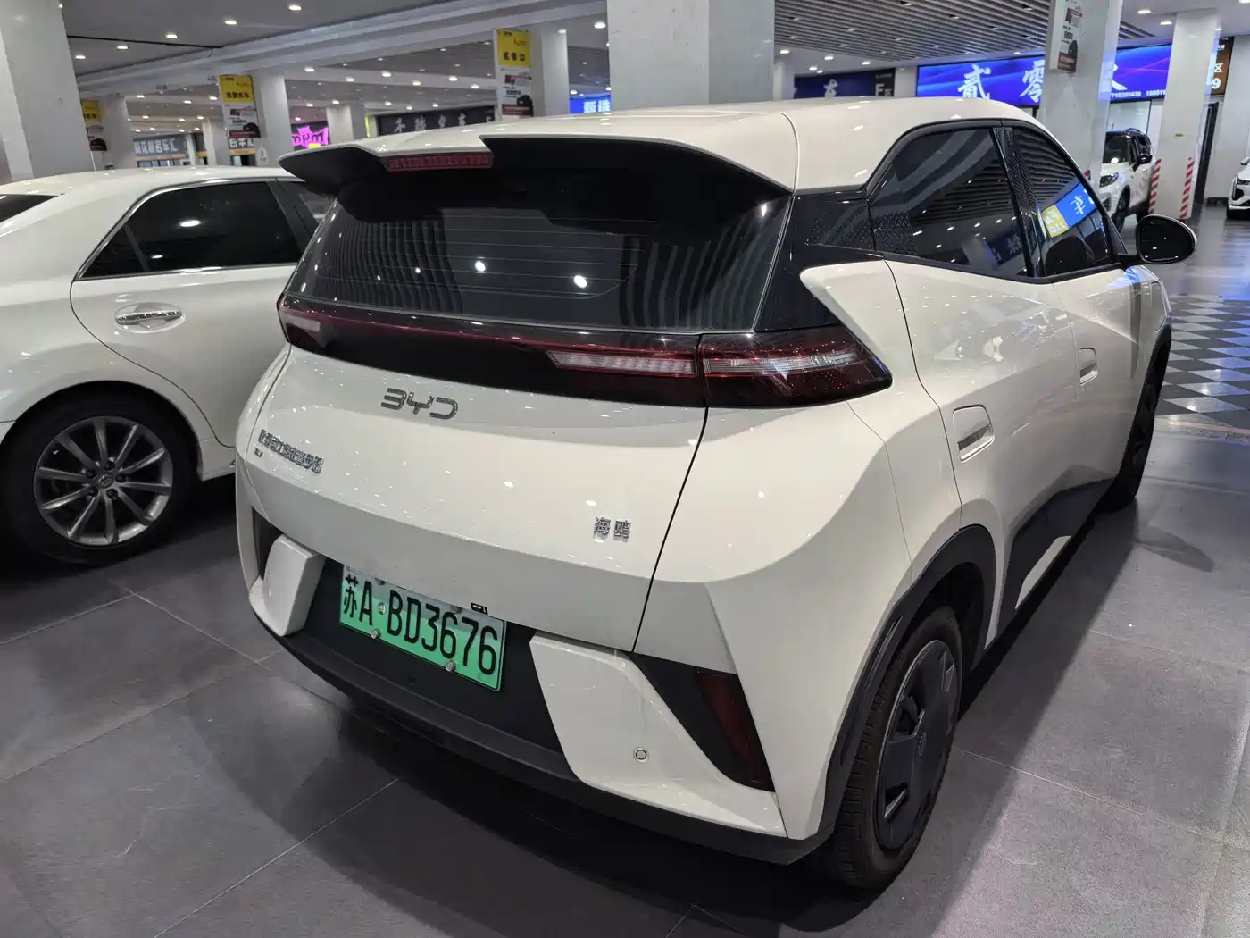 BYD Seagull 2026 2025 Smart Drive Edition 305km Vitality Version