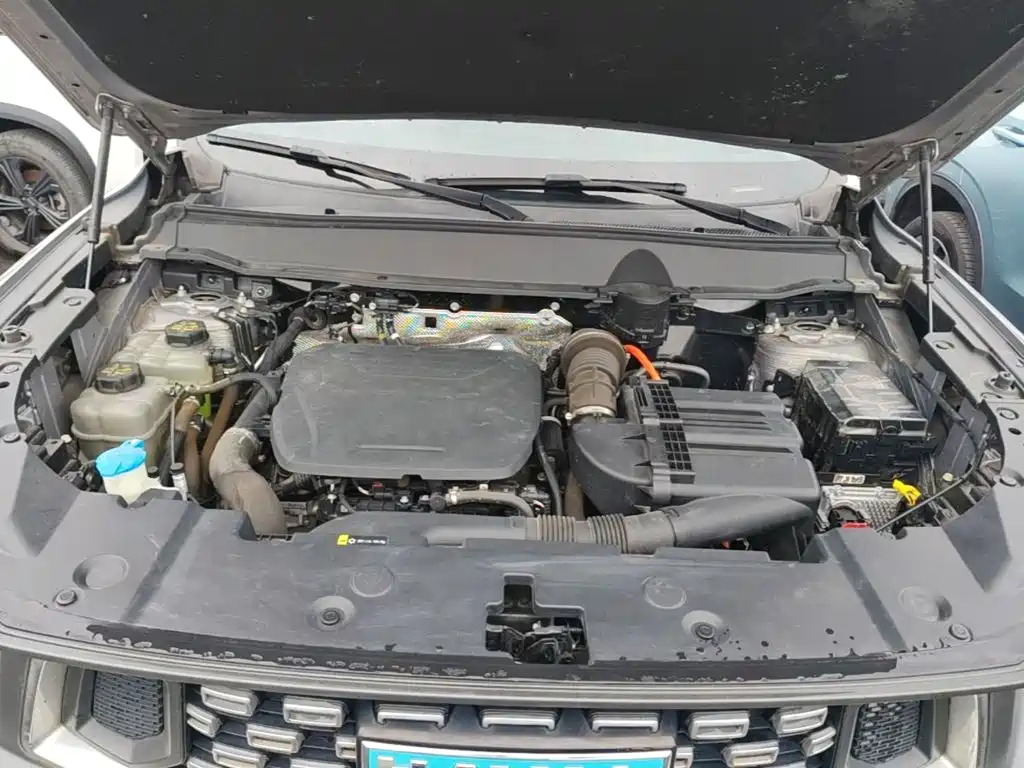 Haval Second-Generation Big Dog New Energy 2023 2023 DHT-PHEV 105km Trendy Electric Edition Plus