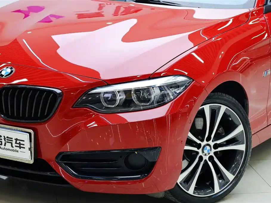BMW 2 Series (Import) 2019 225i Convertible Coupe Sport Design Package фото 9