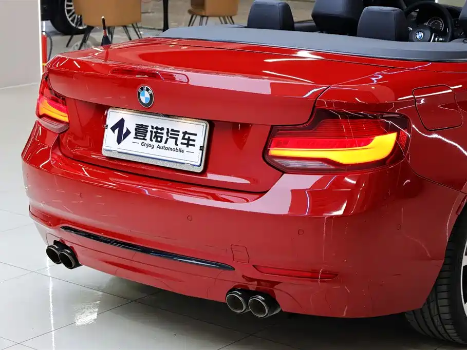 BMW 2 Series (Import) 2019 225i Convertible Coupe Sport Design Package фото 13