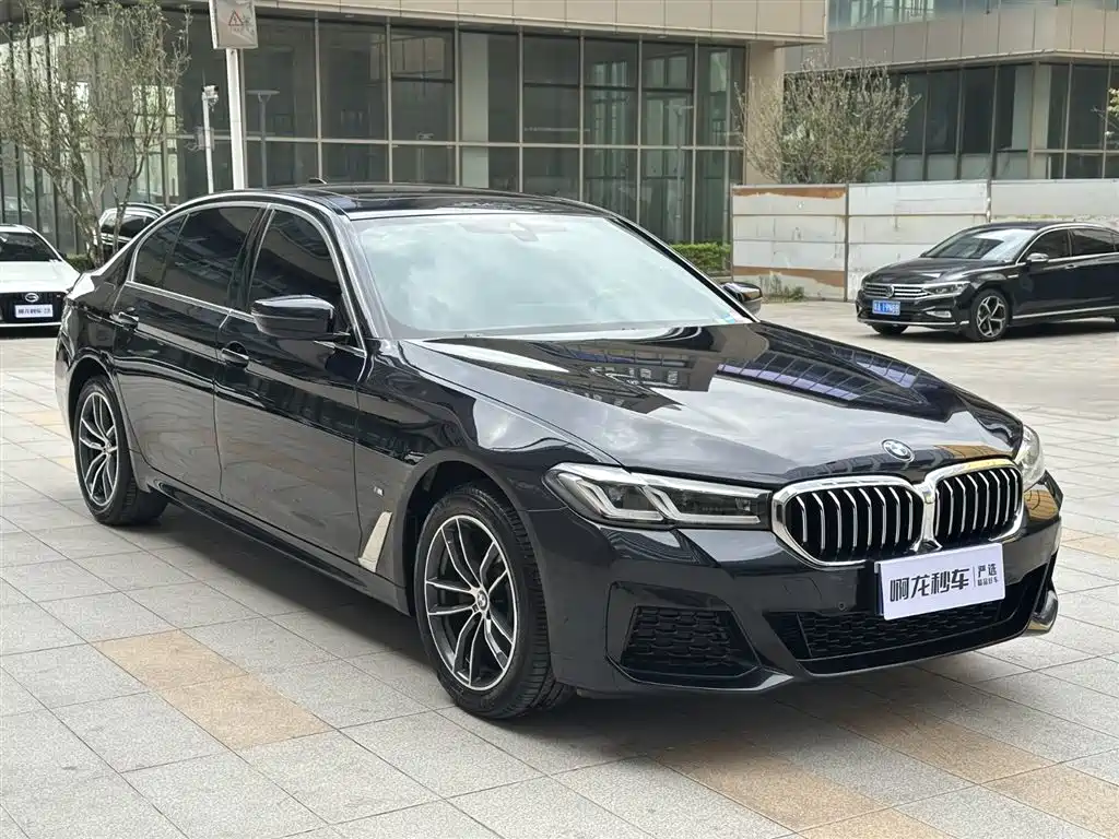 BMW 5 SERIES