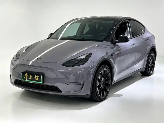 Tesla Model Y Увеличенный запас хода, полный привод