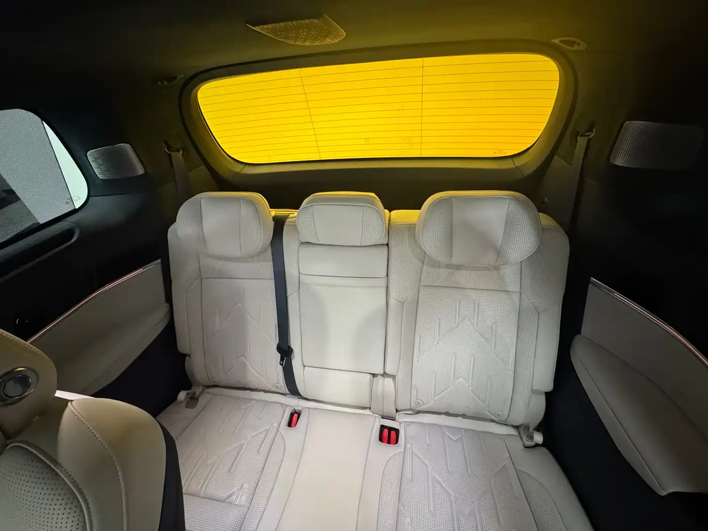 ZEEKR EXTREME KRYPTON 009