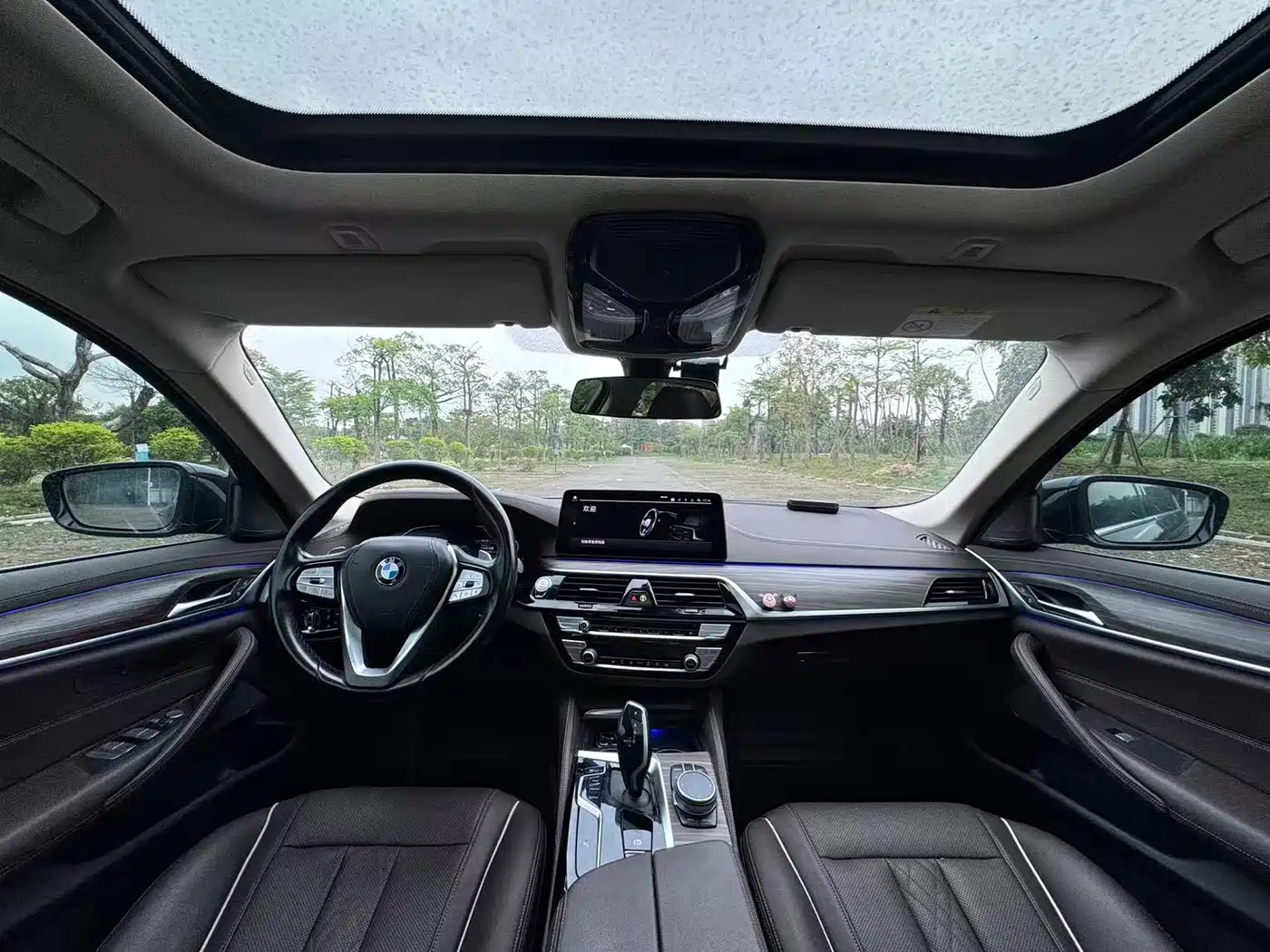 BMW 5 Series 2021 Facelift 530Li Leading Luxury Package фото 11