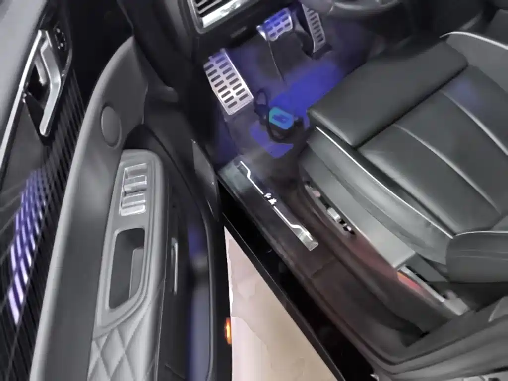 Hongqi E-HS9 2023 2022 690km Qi Xiang Edition (6-seater)