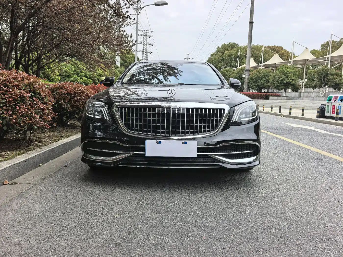 Mercedes-Benz Maybach S-Class 2019 S 450 4MATIC фото 2