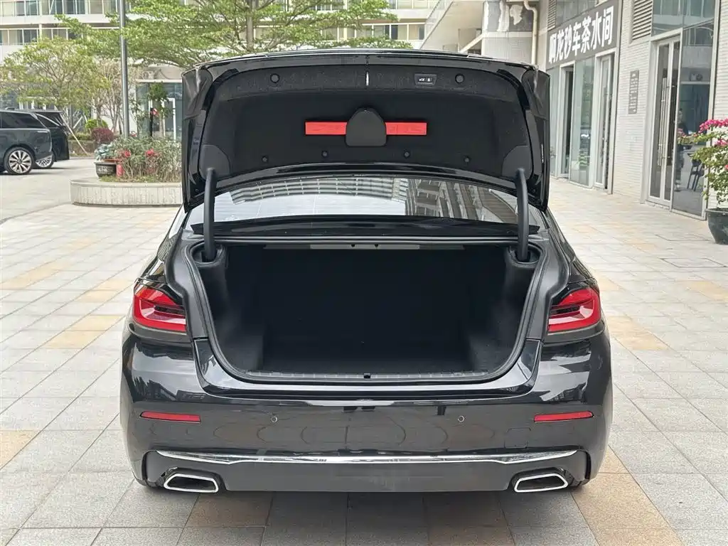 BMW 5 Series 2021 530Li Leading Luxury Package фото 22