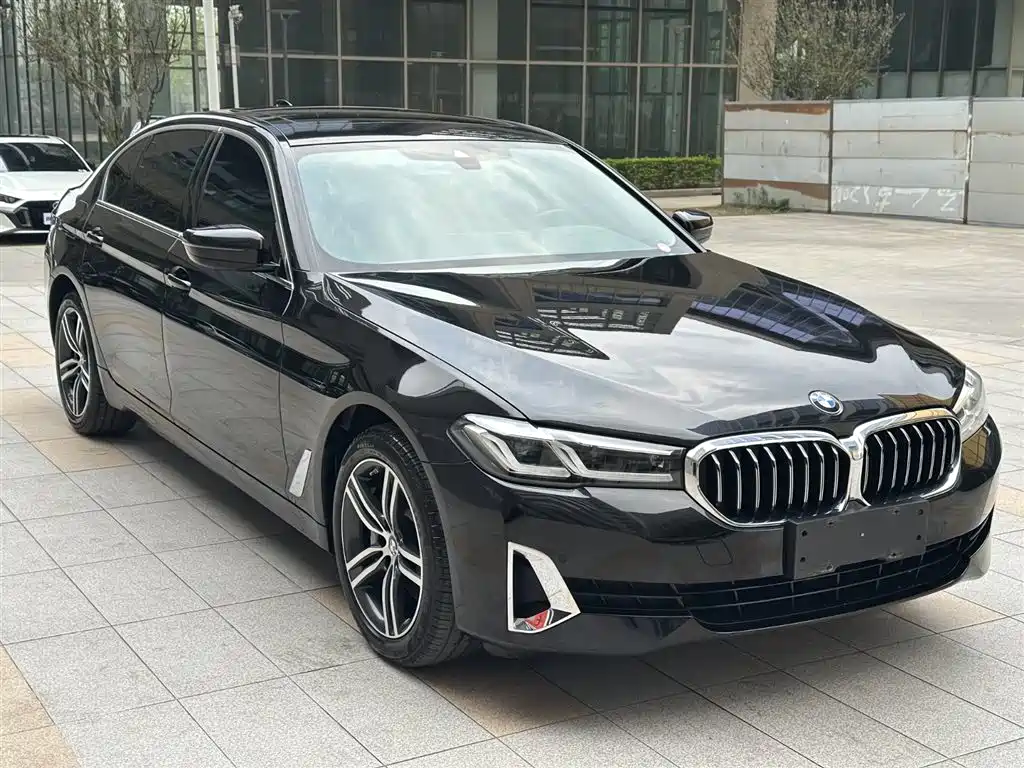 BMW 5 Series 2021 530Li Leading Luxury Package фото 5