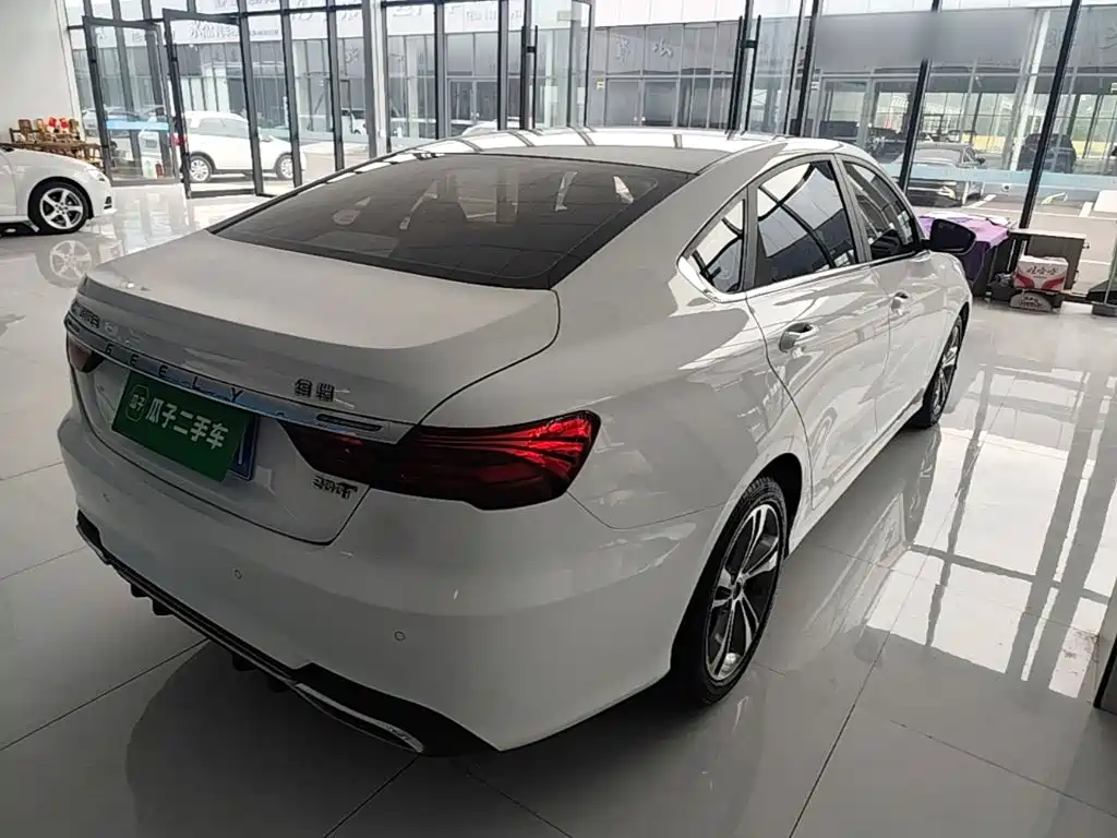 Фото 7 - Geely Binrui