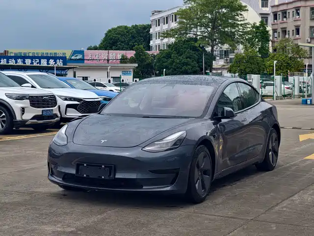Tesla Model 3 2021