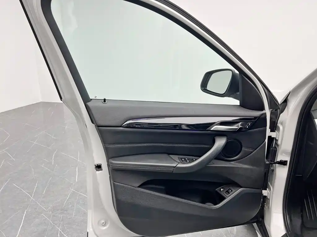 BMW X1 New Energy 2020 2020 xDrive30Le Premium Edition