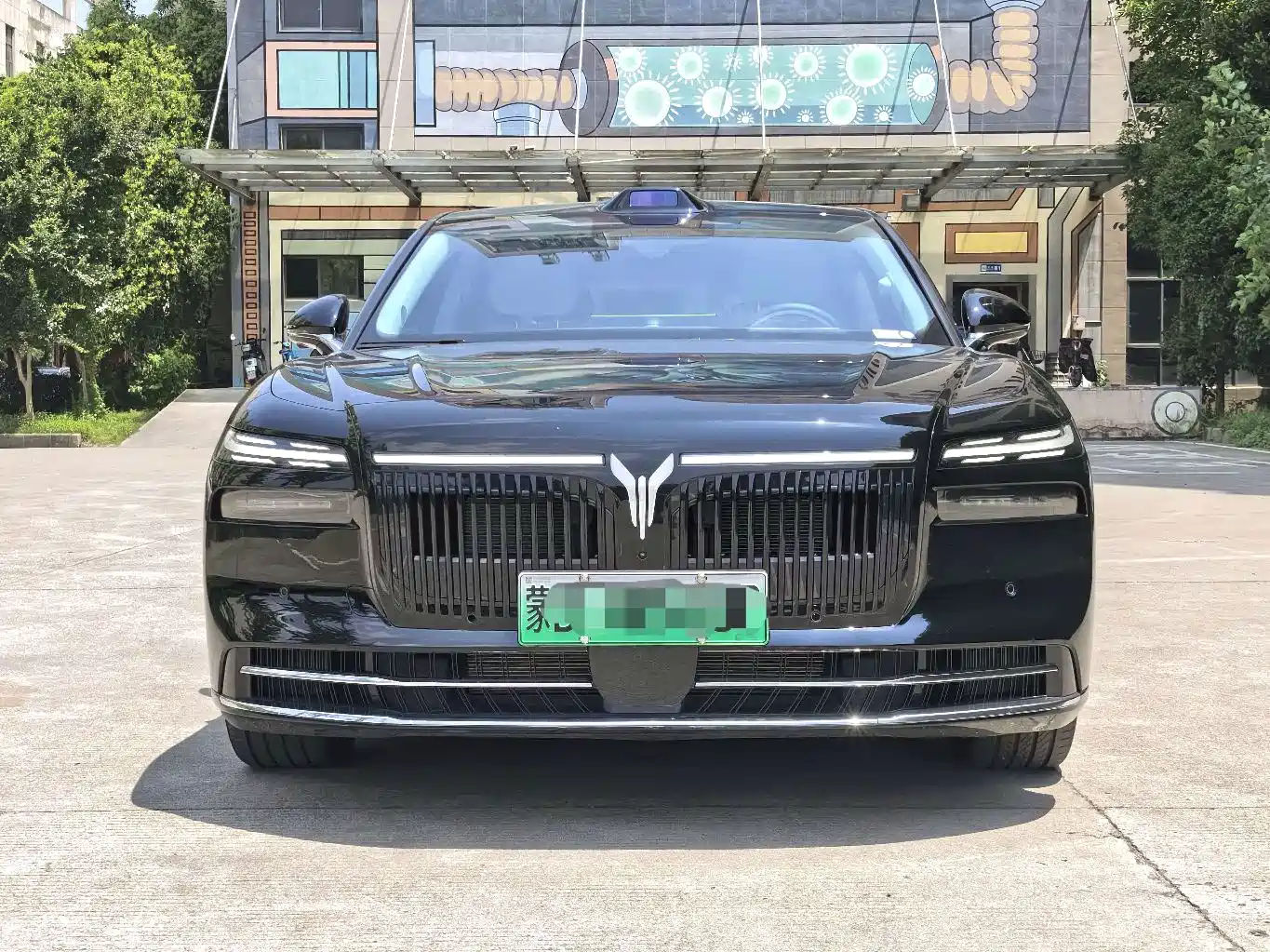 Voyah Auto VOYAH Zhuiguang L 2025 2025 Mid-configuration Model