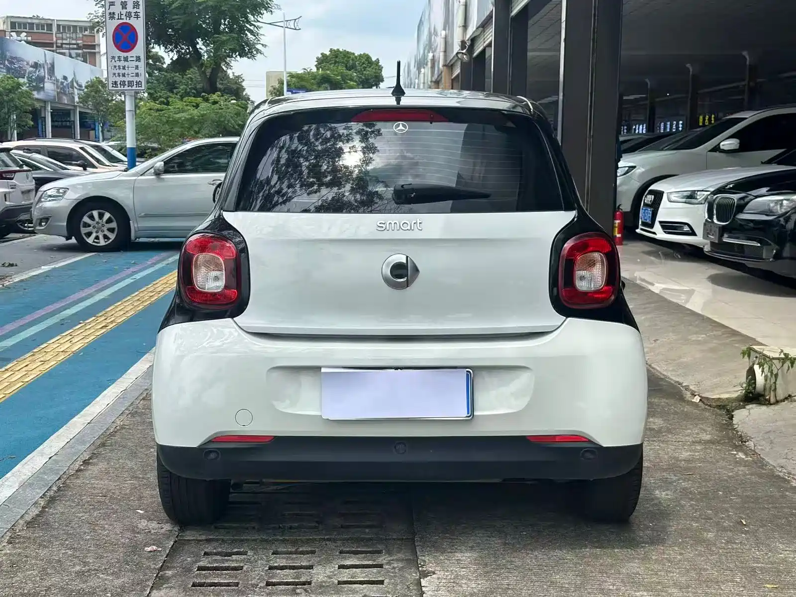 Фото 12 - smart forfour
