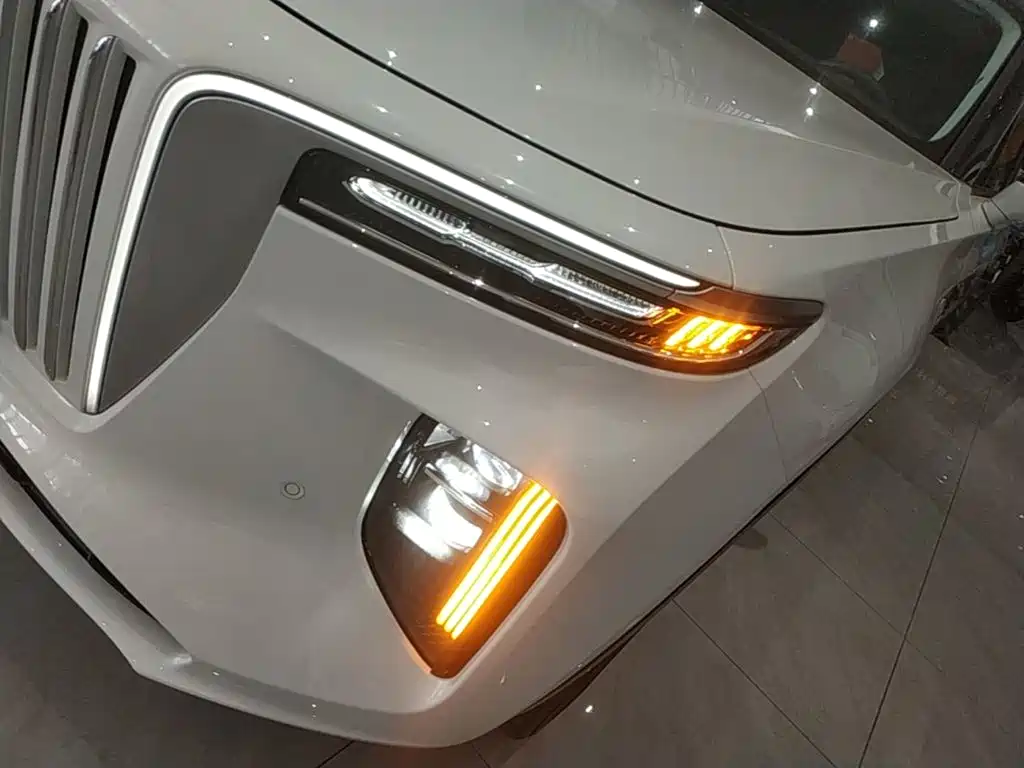 Hongqi E-HS9 2023 2022 660km Qi Chang Edition (6-seater)