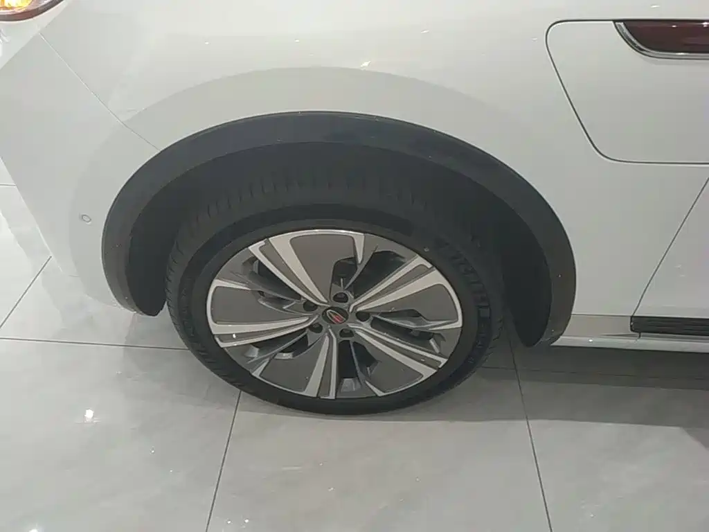 Hongqi E-HS9 2023 2022 660km Qi Chang Edition (6-seater)