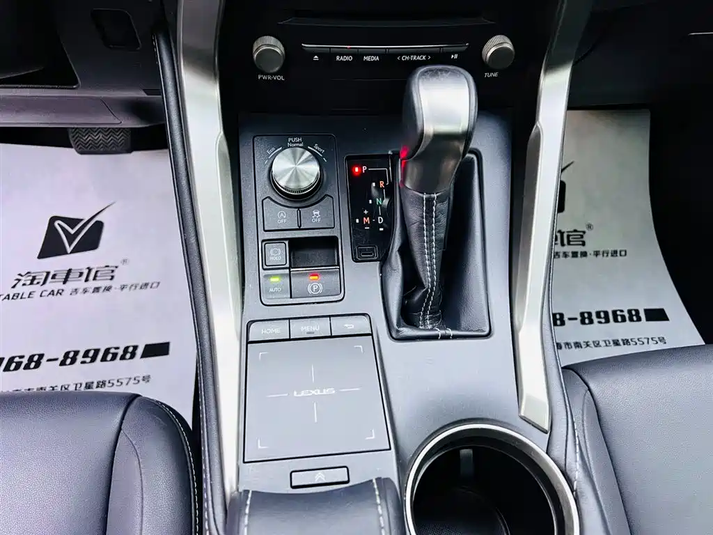 Lexus NX 2018 Model 300 AWD Fengshang Edition фото 14