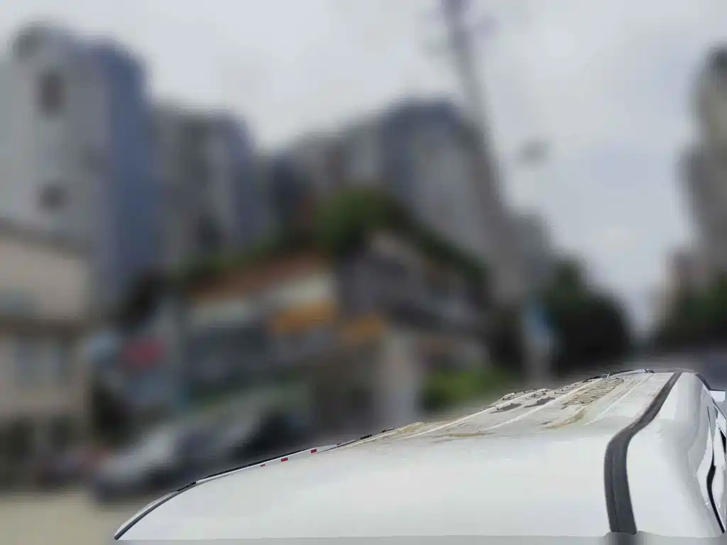 Haima Fushida Hongda 2013 2012 1.0L New Hongda Utility Model