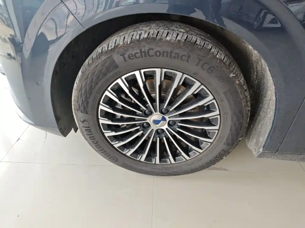 Denza D9 2023 2022 DM-i 970 AWD Flagship