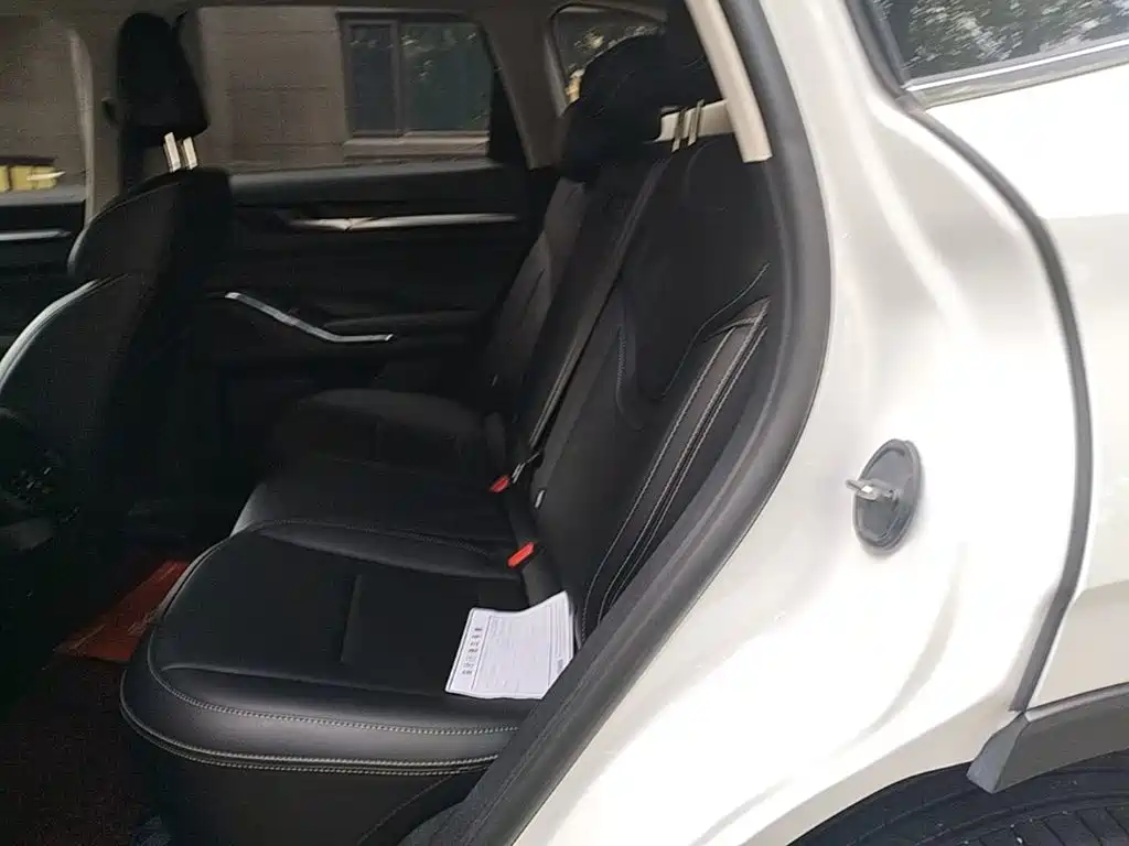 Haval H6 2025 2024 Model 1.5T 2WD Classic Edition