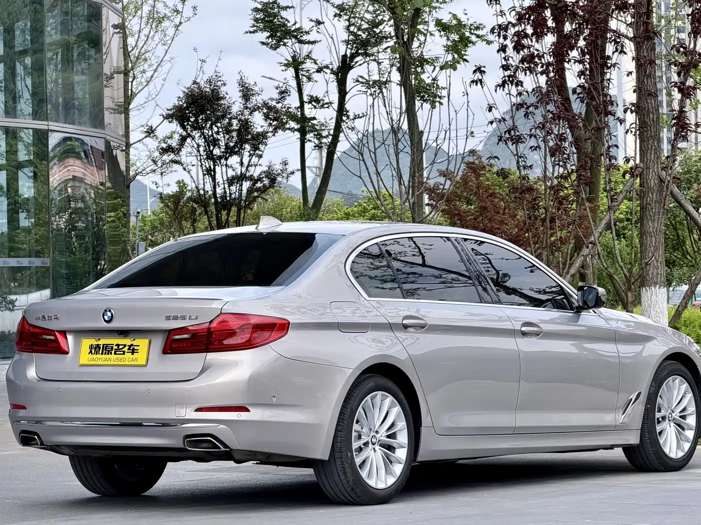 BMW 5 Series 2020 525Li Luxury Package фото 6