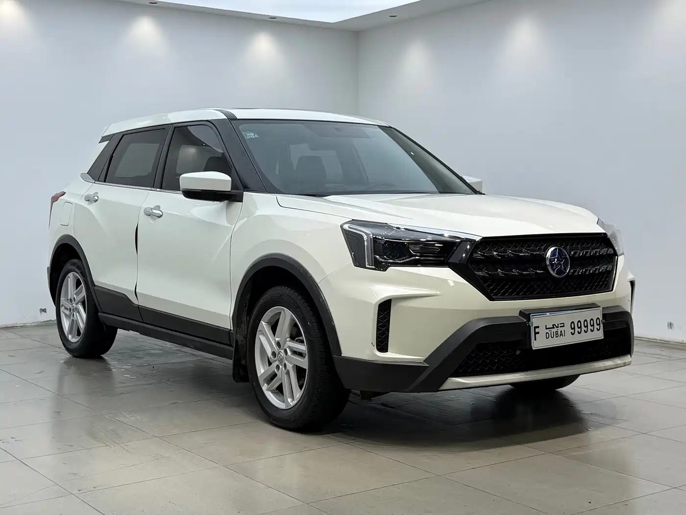 2022 Venucia T60