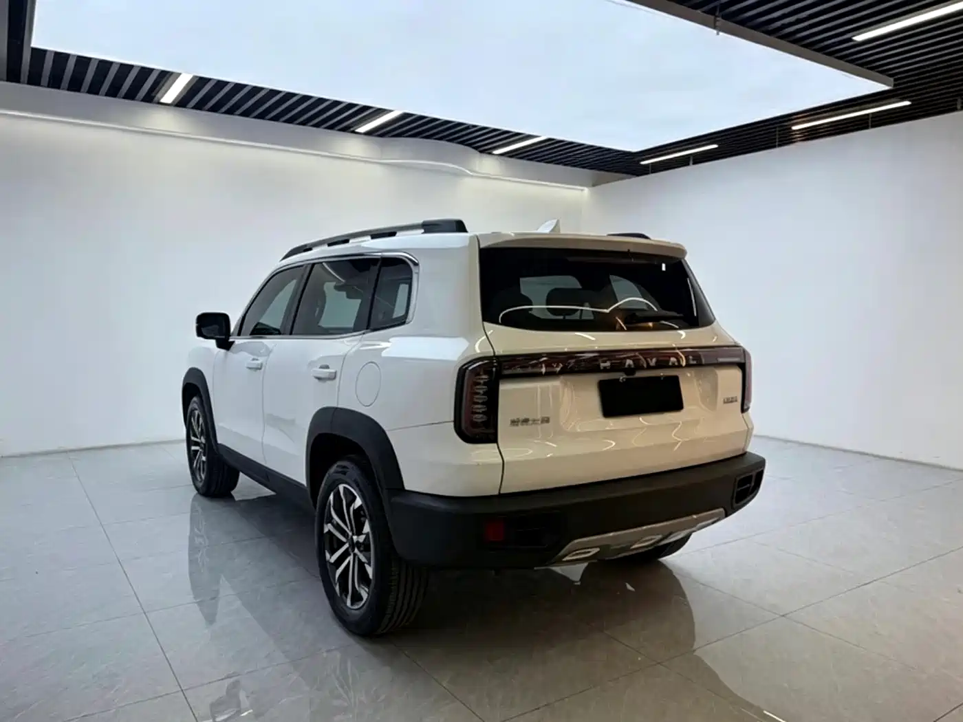 Фото 3 - Haval Dargo