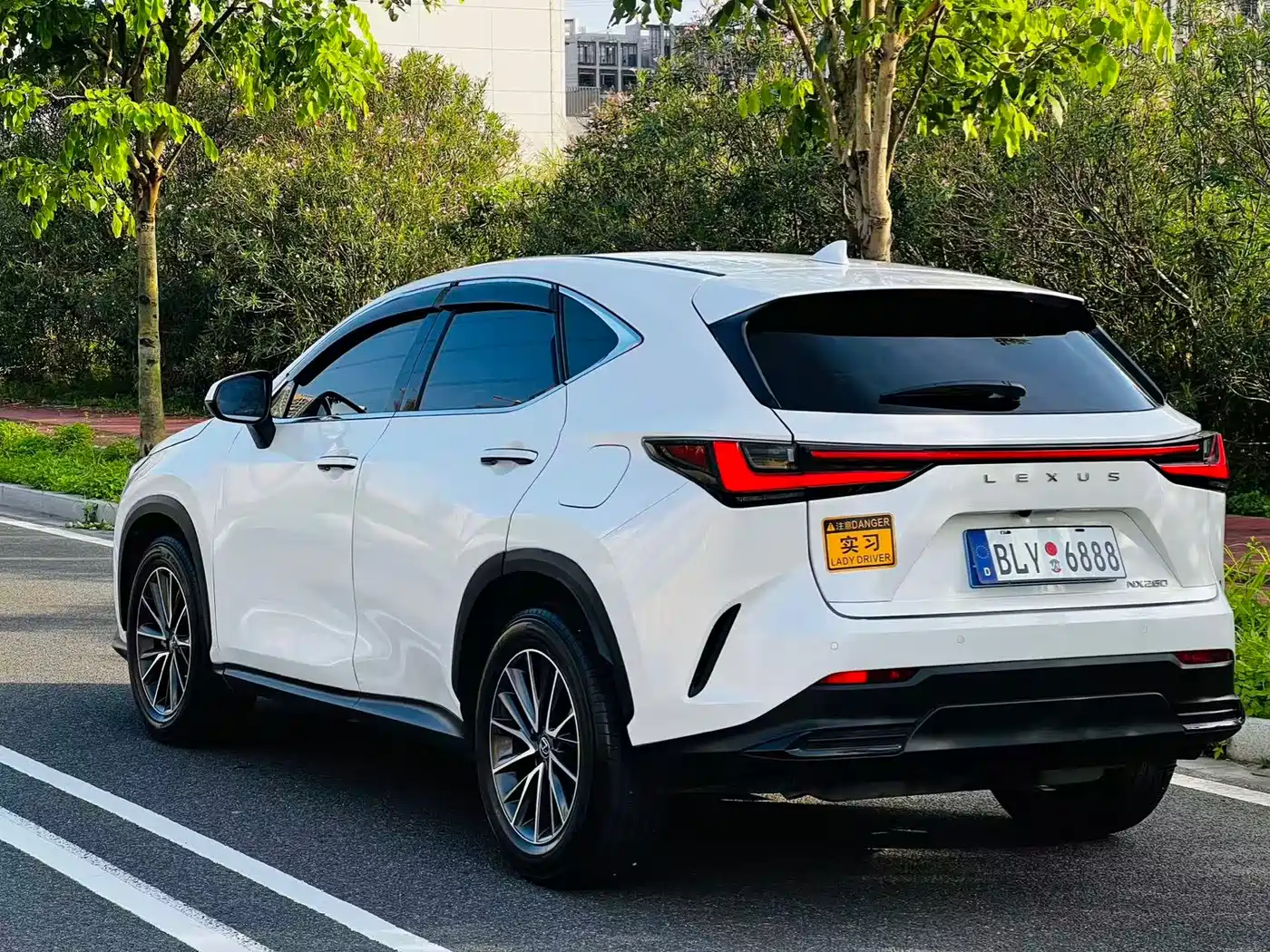 Lexus NX 2024 2024 260 FWD Joy Creation Edition