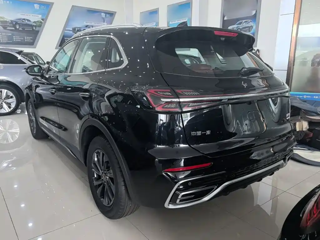 Hongqi HS5 2025 2025 2.0T 2WD Qixiang Pro