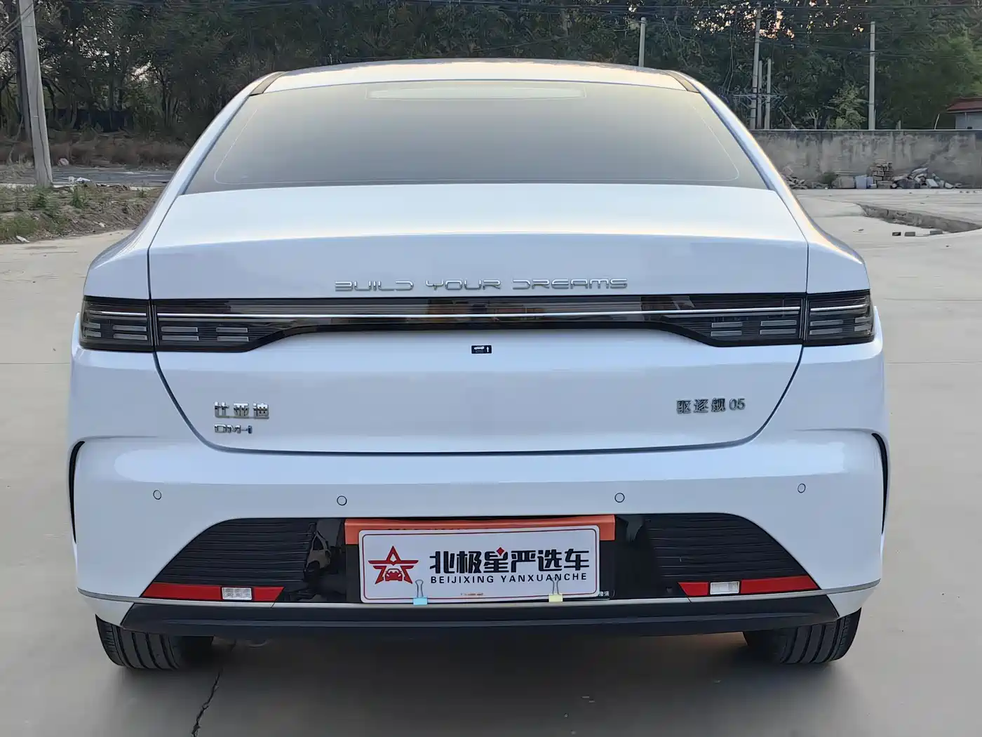 BYD Destroyer 05 2024 Glory Edition DM-i 55KM Luxury фото 16