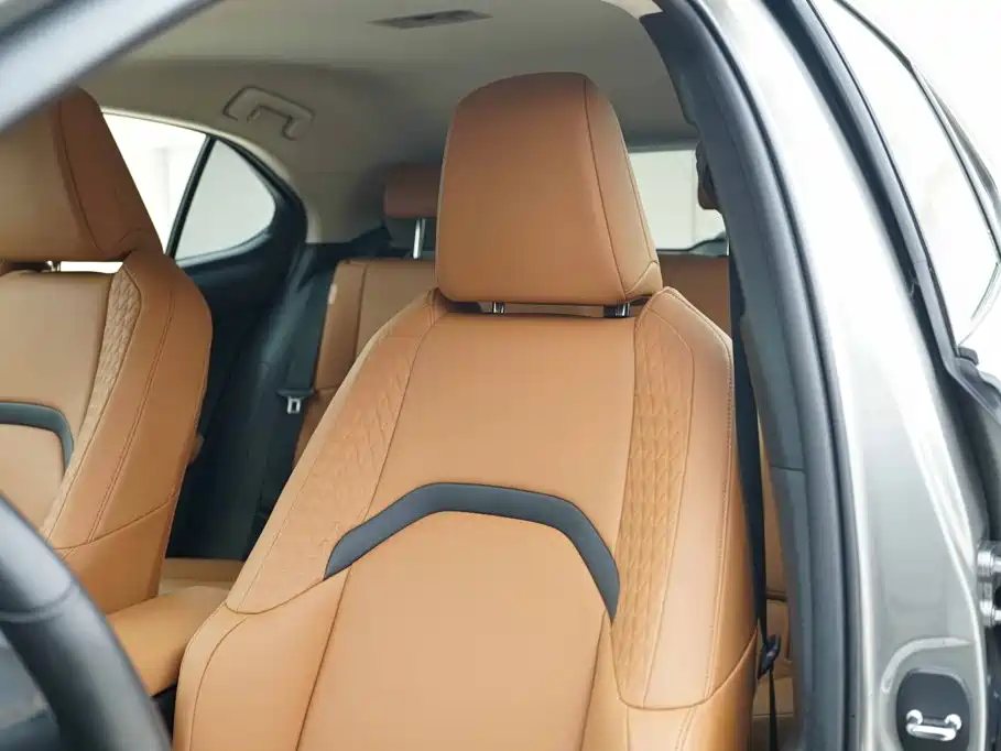 Lexus UX 2021 2020 260h Explore Cool Edition