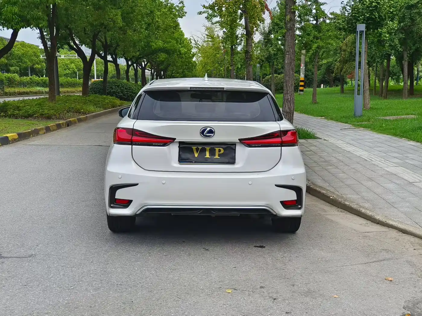 Lexus CT 2018 2017 CT200h Elite Edition Monochrome China V