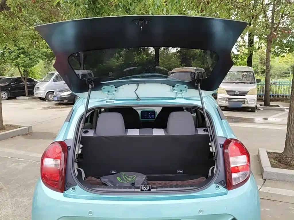 JMCG New Energy Little Kirin 2025 2024 201km Comfort Model